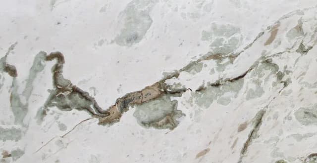 BIANCO ALPI — patrón de la piedra