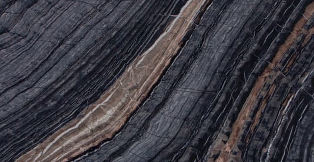 BLACK TAURUS — stone pattern