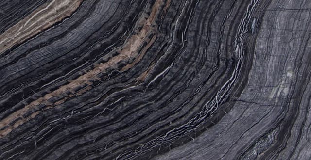 BLACK TAURUS — stone pattern