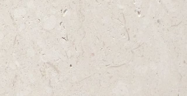 CALIZA PALEO — patrón de la piedra