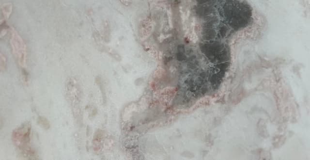 OYSTER PINK — patrón de la piedra