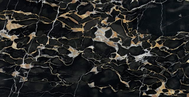 PORTORO GOLD — marble