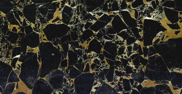 NEW PORTORO — marble