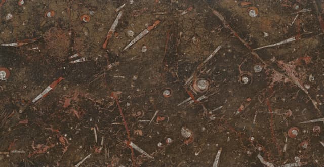 JURASSIC — stone pattern