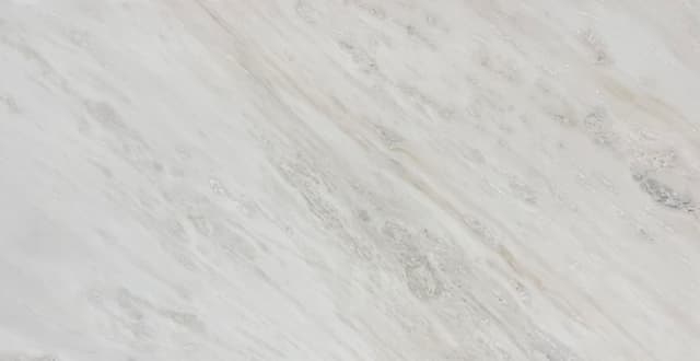 WHITE RHINO — marble