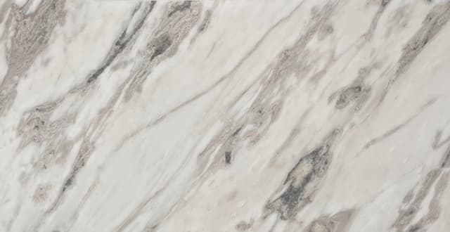 CALACATTA OYSTER — marble