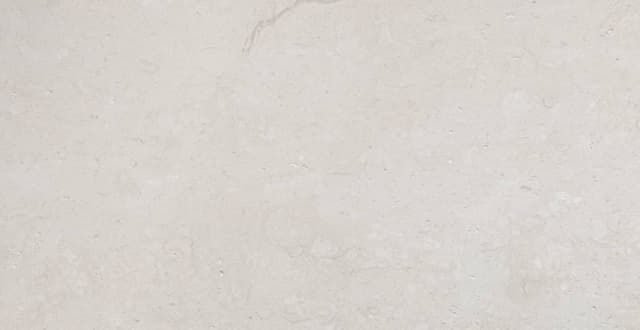 CALIZA PALEO — limestone